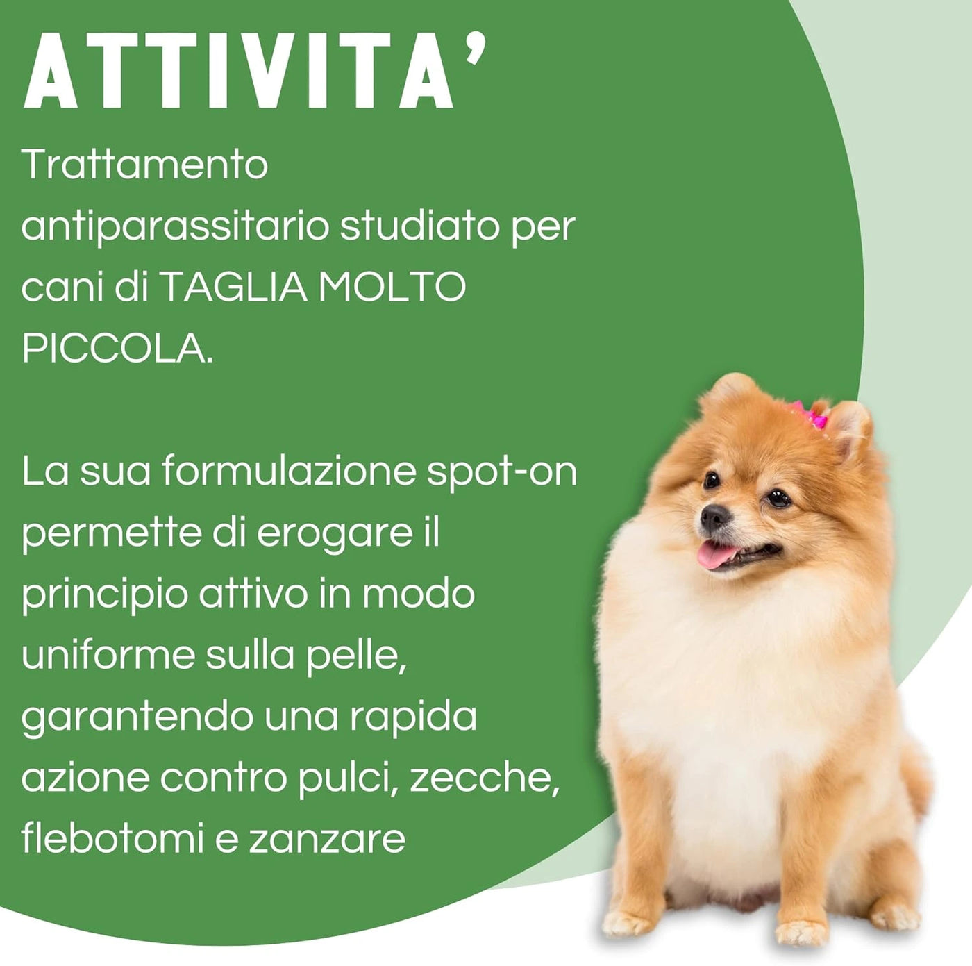 EVER4 SPOT ON CANI 1,5-4 kg