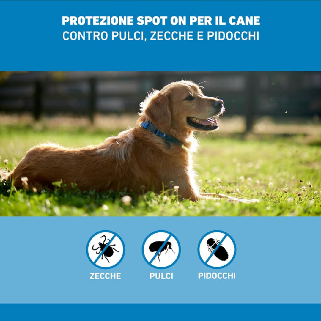 FRONTLINE SPOT ON CANI 20/40 Kg 3 pip