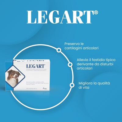 LEGART MAXI 60 cpr – Integratore Articolare Per Cani Medio/Grandi