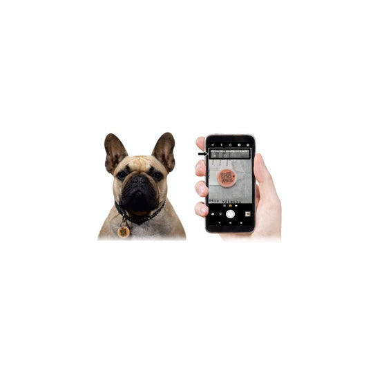 WANTED TAG - Medaglietta Identificativa con QR Code