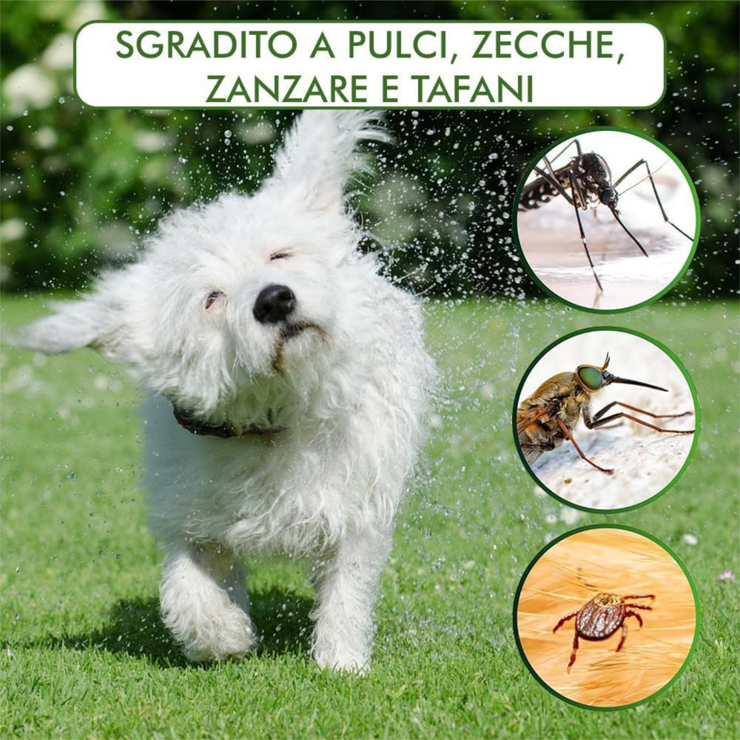 PAERSON OLIO DI NEEM SPRAY CANI E GATTI 700ml