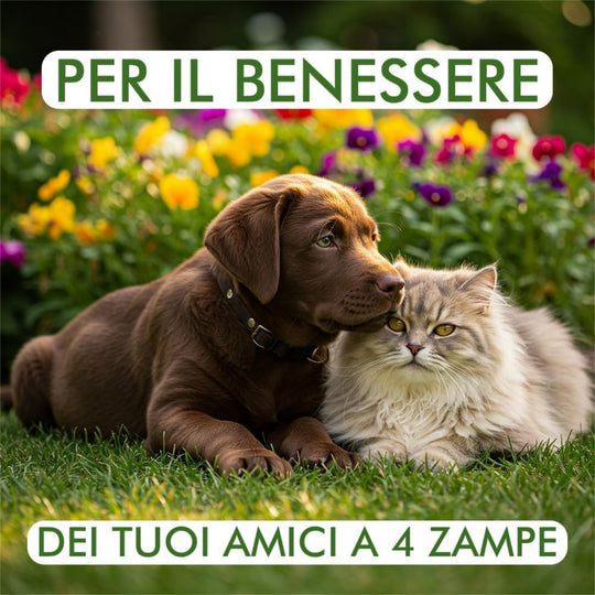 PAERSON OLIO DI NEEM SPRAY CANI E GATTI 700ml