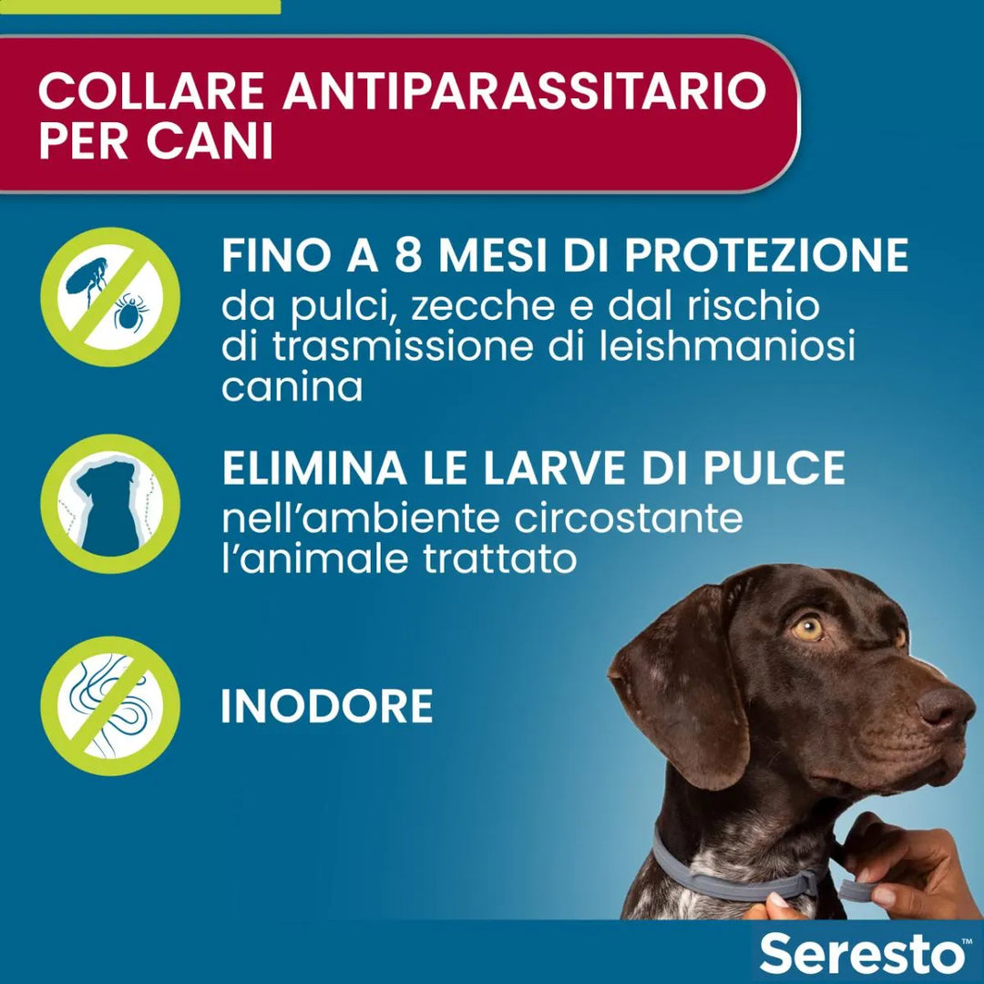 SERESTO CANI FINO 8 Kg - Contro pulci e zecche fino a 8 mesi