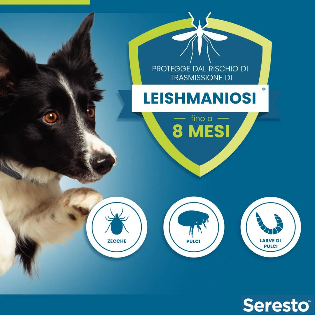 SERESTO CANI FINO 8 Kg - Contro pulci e zecche fino a 8 mesi