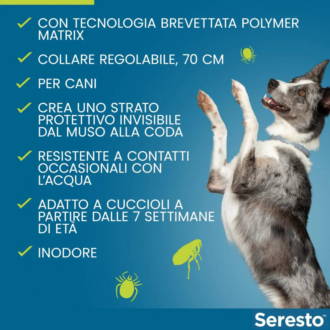 SERESTO CANI FINO 8 Kg - Contro pulci e zecche fino a 8 mesi