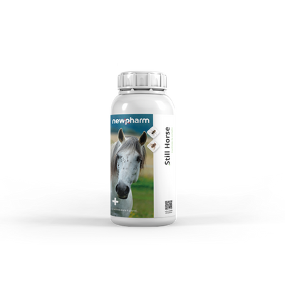 STILL HORSE - Liberati dalle Mosche