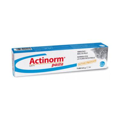 ACTINORM PASTA 65 gr – Elimina i boli di pelo nel gatto - Sarda Zootecnica