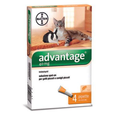 ADVANTAGE 40 (4 pipette) – Antiparassitario per gatti e conigli piccoli