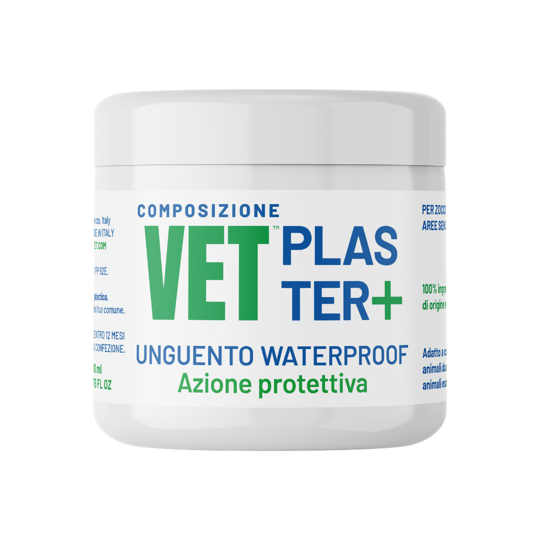Composizione vet plaster + unguento protettivo