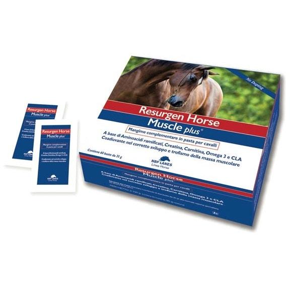 RESURGEN HORSE MUSCLE PLUS (60 buste da 35g) - Migliora l'efficienza muscolare - Sarda Zootecnica