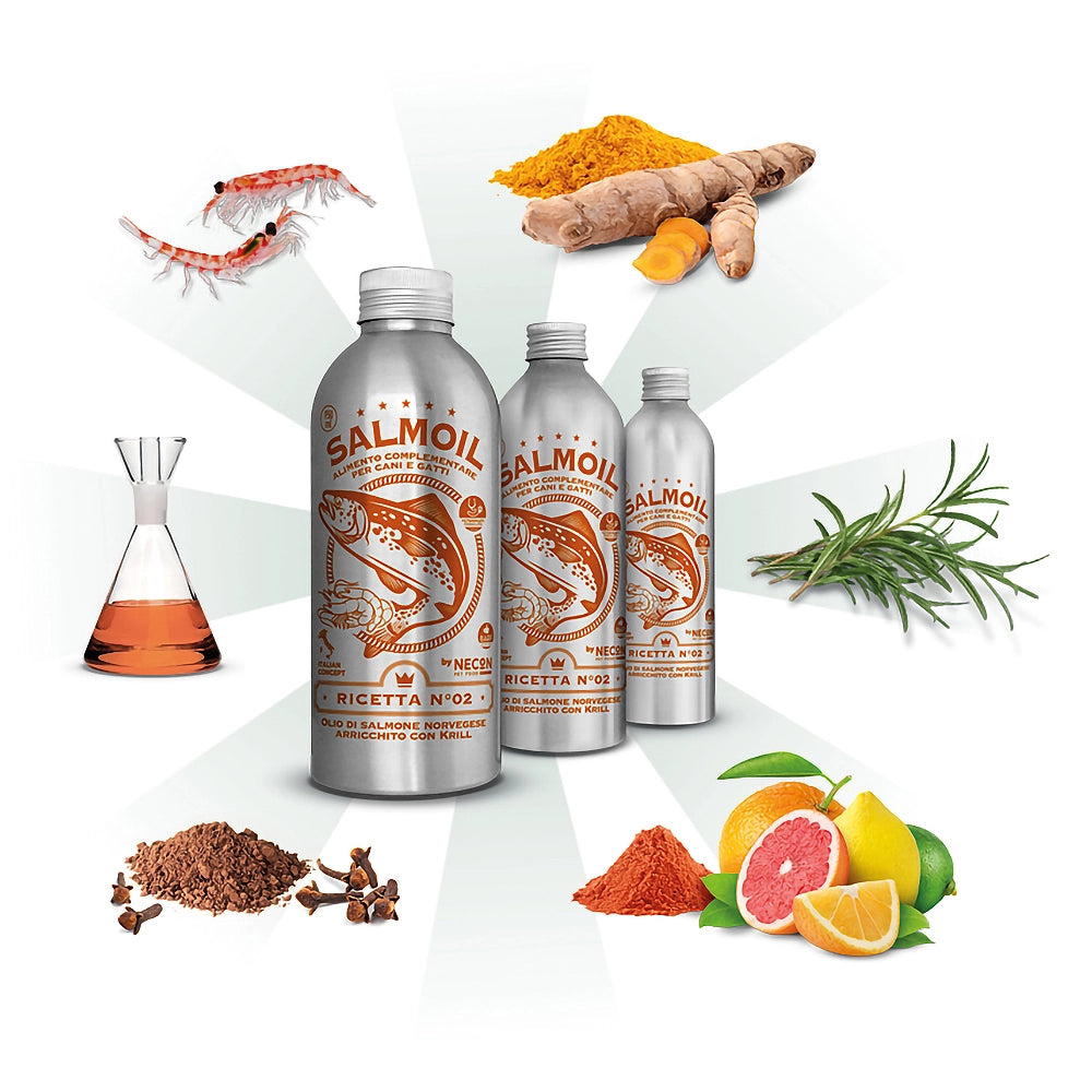 diverse taglie salmoil ricetta 2