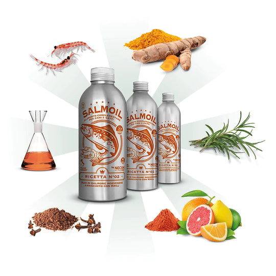 diverse taglie salmoil ricetta 2