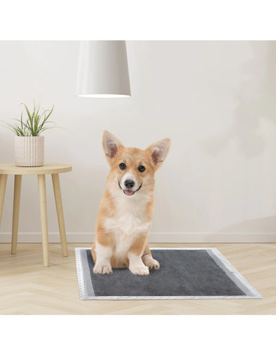 foto di un cane che usa i tappetini assorbipiù 