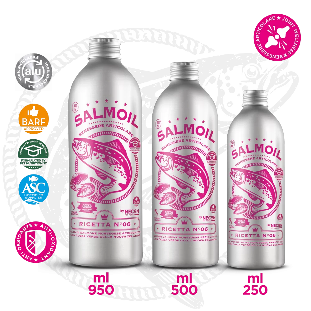 diverse taglie necon salmoil ricetta 6 