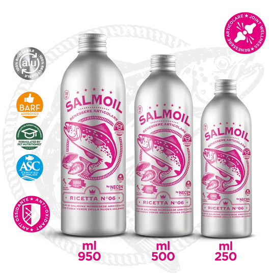 diverse taglie necon salmoil ricetta 6 
