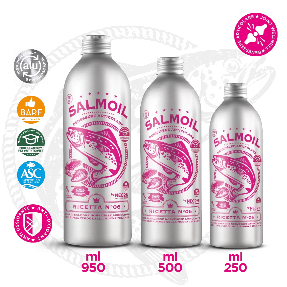 diverse taglie necon salmoil ricetta 6 