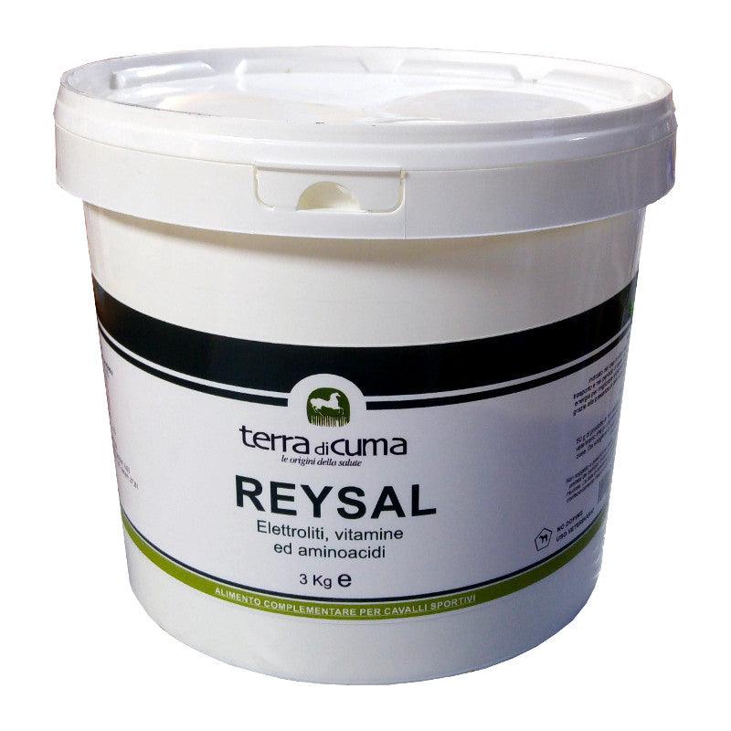 REYSAL 3KG - Supporto per lo sforzo fisico - Sarda Zootecnica