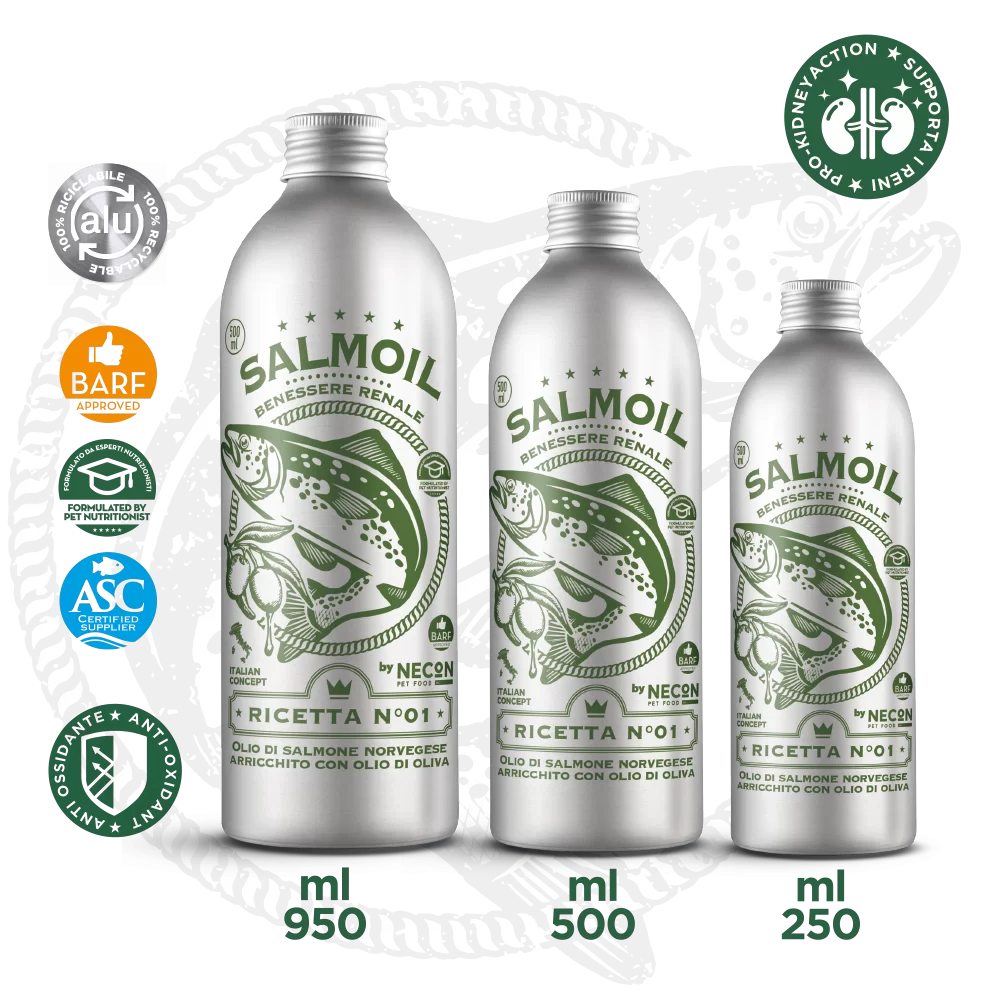 varie taglie di salmoil ricetta 1 benessere renale