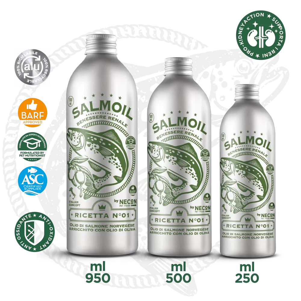 varie taglie di salmoil ricetta 1 benessere renale