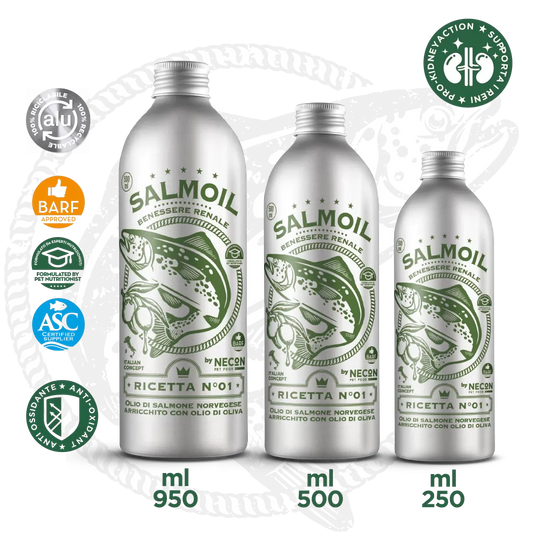 varie taglie di salmoil ricetta 1 benessere renale