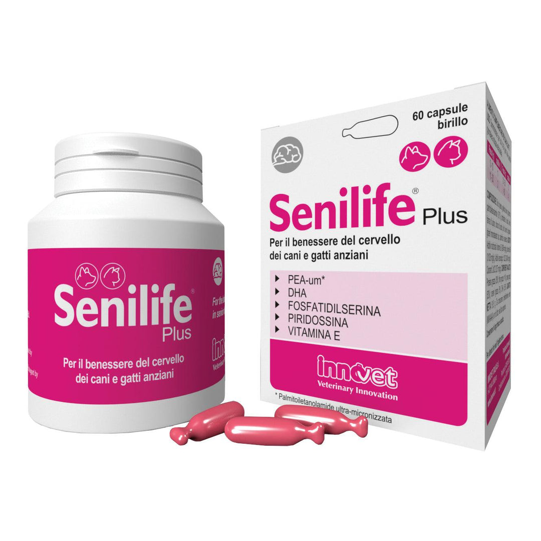 SENILIFE PLUS CANE GATTO (60 cpr) – Contro l’invecchiamento cerebrale - Sarda Zootecnica